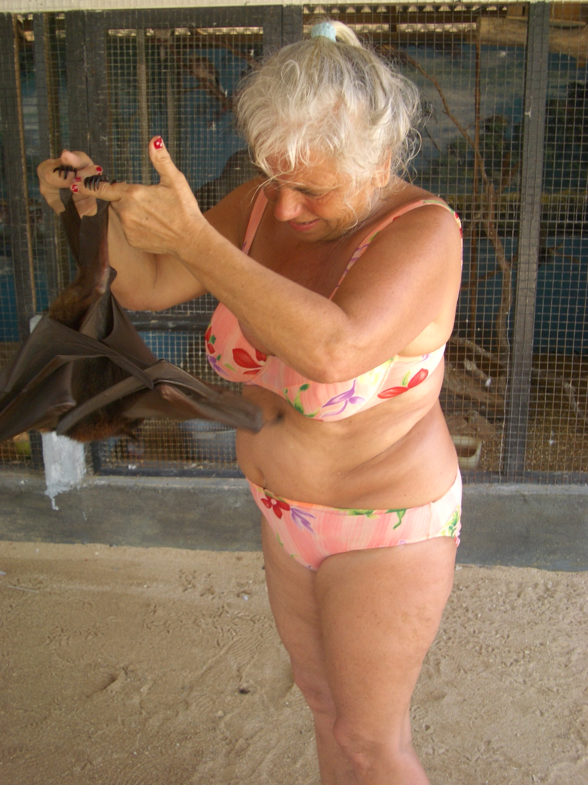 Drehen von IMGP1194.JPG